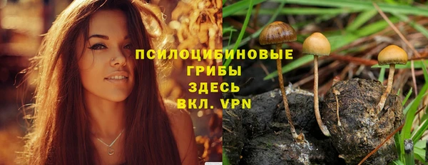 МДМА Рославль