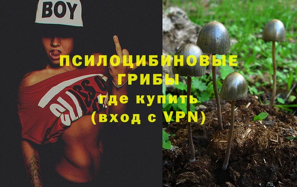 ешки Алзамай
