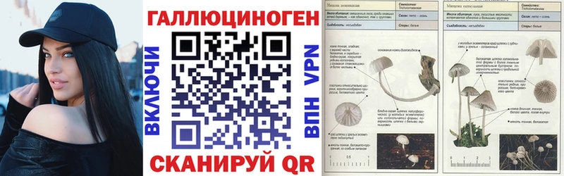 Галлюциногенные грибы MAGIC MUSHROOMS  Богучар 